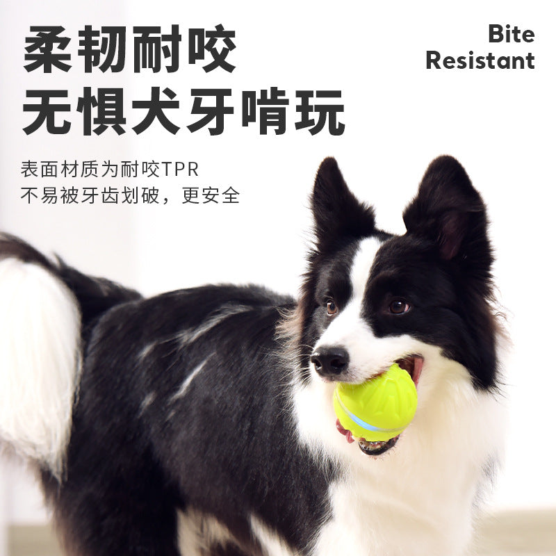 edb52969-1fe6-483c-a87c-ea87025c8c65